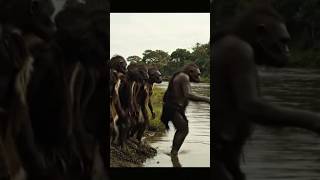 Life Million Years Ago #20