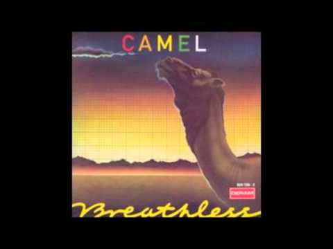 Camel (+) Starlight Ride