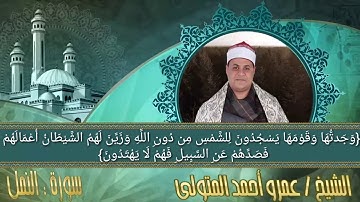 الشيخ . عمرو أحمد المتولى  سورة النمل
