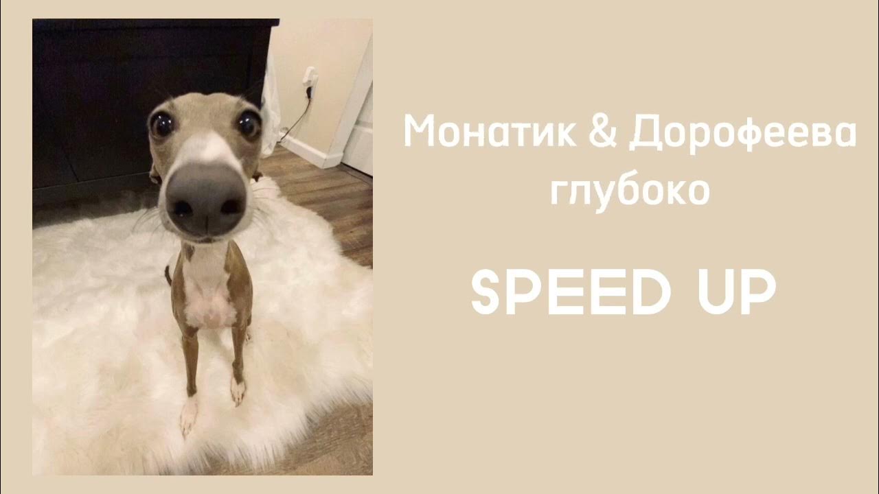 Песня плоская speed up