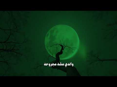 ياعمه اليالي سيد سلام حالات واتساب اشتراك بالقناة