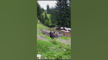 Logical operators part 2#logicaloperators #python3 #programming #pythonoperators #coding #education