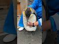 Never Touch A Cute Penguin
