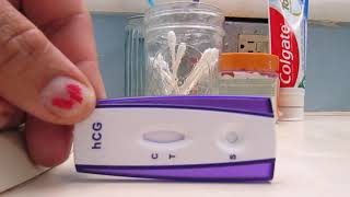 12 DPO Pregnancy Test Walmart .88 cent test! March 2022