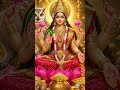 Jay maa laxmi 🙏🏻