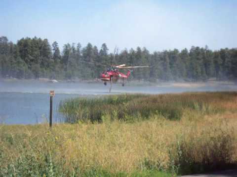 Helicopter 780 filling up in Whitehorse Lake to drop on the Taylor fire on the Coconino National Forest in Northern Arizona