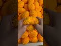 Yellow Durian ASMR | Crispy Soft Stress Ball | JoliSlime 🫧