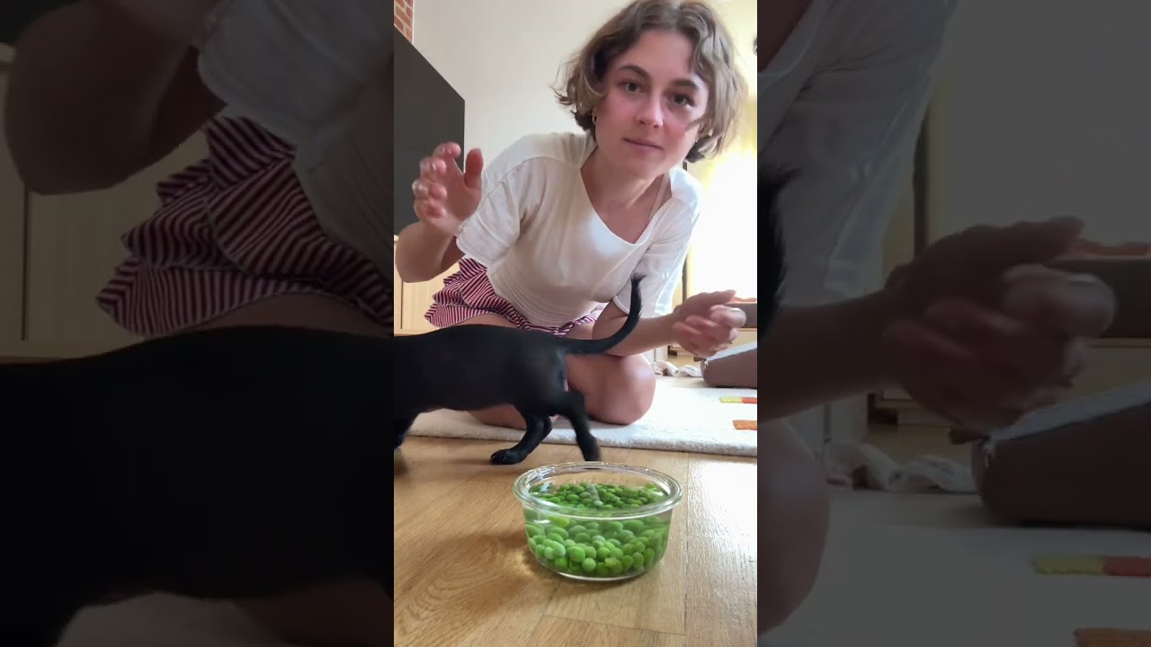 make her bob for peas they all said #dachshund #puppy #miniaturedachshund #dog