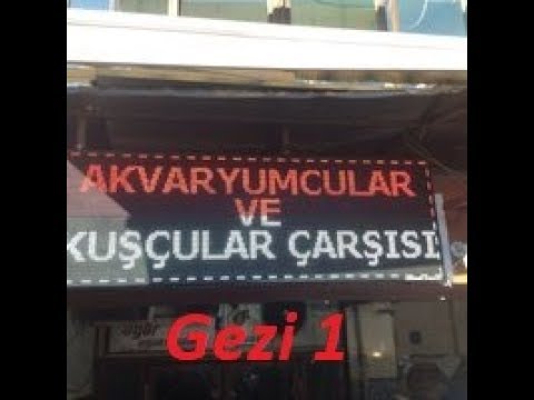 Gezi 1 - Ankara / Ulus - Akvaryumcular Ve Kuşçular Çarşısı