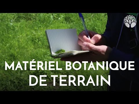 Vidéo: Arbre De Compétences: Prune Et L'extase Tranquille Du Botaniste