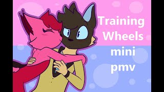 Training Wheels (Mini Pmv)