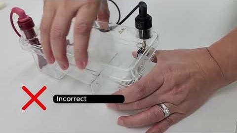Operation of Agarose Gel Electrophoresis System _ Bioscience Wealtec