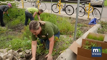#OurMN: GreenCorps Preserves and Protects Minnesota’s Environment