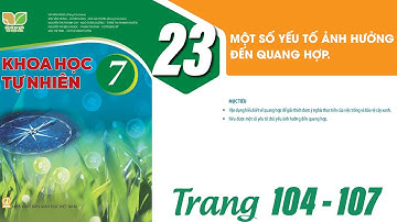 Khoa học tự nhiên lớp 7 kết nối tri thức bài 23 trang 104 - Một số yếu tố ảnh hưởng đến quang hợp