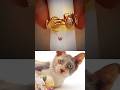 Funny Cat Video 😂😂😂#Shorts#Funkis #fails #memes