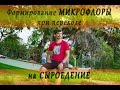 Сыроедение. Формирование микрофлоры при переходе на сыроедение. Важно!