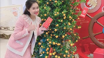 Hát Chèo Cổ Mới Nhất 2022 | Nghệ Sĩ Hương Giang Cùng Tốp Nam Nữ Nhà Hát Chèo Quân Đội