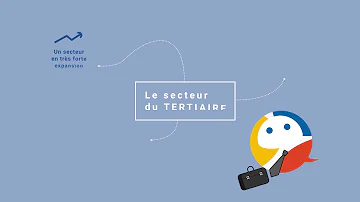 Quelles sont les principales caractéristiques du secteur tertiaire en France ?