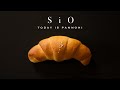 【夫婦でパン作り】シンプル・イズ・ベスト「塩パン」今日はパンの日 Lesson 39 “Sio pan”