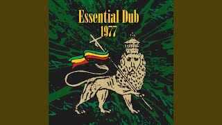 Waiting In The Park Dub