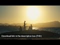 Golden Hour Beach Silhouette | Free Stock Video No Copyright B-Roll