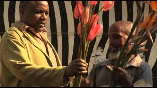 Hungry for Change - Building a Food Secure Future in Sub-Saharan Africa (Full)