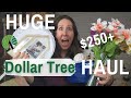 MASSIVE DOLLAR TREE HAUL | $250+ OF DOLLAR TREE ITEMS | GREAT $1 FINDS