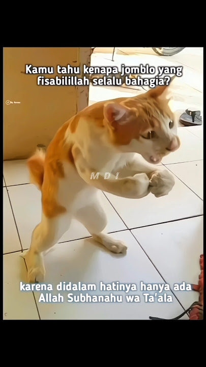 Meme Dakwah #shorts #memedakwahislam #halal #islam #memehalal #memeislami #dakwah