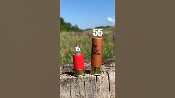 RECOIL AND DAMAGE #shotgun #asmr #bullet #buckshot #gun #hunter #usa #shooting #test
