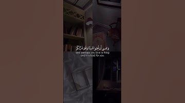 "وعسى أن تكرهوا شيئا و هو خير لكم " قران كريم 📿#قرآن #قران_كريم #راحة_نفسية #راحة#طمأنينه