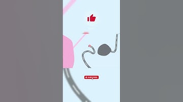 From Pro to Noob in Seconds 😂 | Paper.io 2 #gaming #games #gameplay #funny #fail  #paperyppogaming