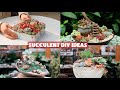 5 Succulent DIY Ideas - Succulent Garden |多肉植物 | 다육이들 | Suculentas