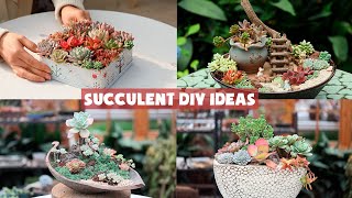 5 Succulent DIY Ideas  Succulent Garden |多肉植物 | 다육이들 | Suculentas