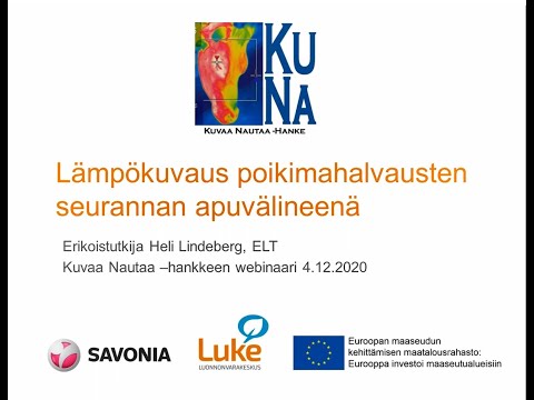 Lämpökuvaus poikimahalvausten seurannan apuvälineenä -webinaari