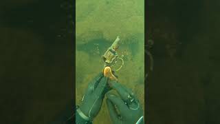 Scuba Diver Finds Possible Murder Weapon Underwater!