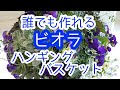 寄せ植え初めての方必見!可愛くできるビオラの【ハンギングバスケット】