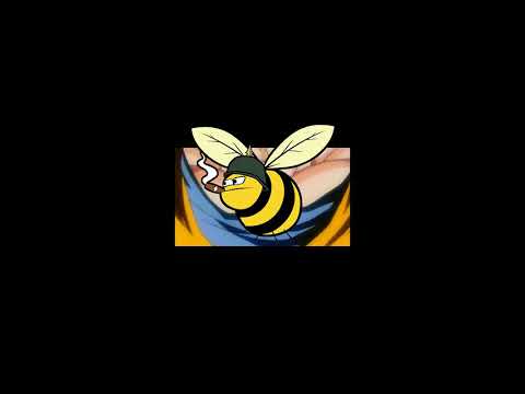 T5ZI Falls - OP 1