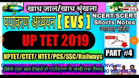 UPTET #खाद्य श्रृंखला पर्यावरण PART-2 #FOOD CHAIN UPTET CTET ENVIRONMENT