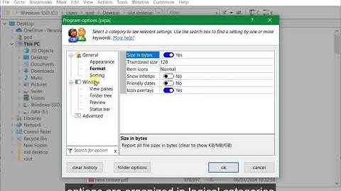 xplorer² program options