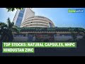 Natural Capsules, NHPC, Hindustan Zinc And More: Top Stocks To Watch Out On December 8, 2021