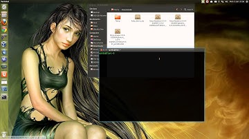 How to Try and fix Bootup Issues in Ubuntu 13.04 / Mint 15