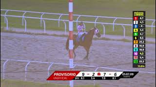 Vidéo de la course PMU PRIX FE PURA