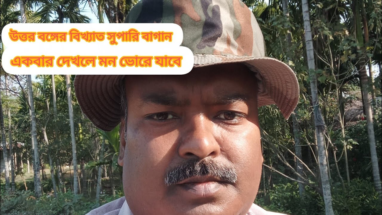 উত্তর বঙ্গের বিখ্যাত সুপারি বাগান🥰 #vairalvdeo #youtubevideo #supari @BhabeshBiswas-zv5rg 