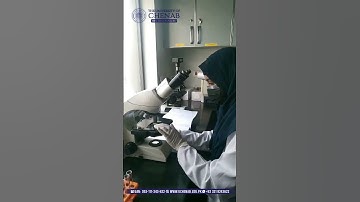 𝐁𝐒 𝐌𝐞𝐝𝐢𝐜𝐚𝐥 𝐋𝐚𝐛𝐨𝐫𝐚𝐭𝐨𝐫𝐲 𝐓𝐞𝐜𝐡𝐧𝐨𝐥𝐨𝐠𝐲 (𝟒 𝐘𝐞𝐚𝐫𝐬) at 𝐓𝐡𝐞 𝐔𝐧𝐢𝐯𝐞𝐫𝐬𝐢𝐭𝐲 𝐨𝐟 𝐂𝐡𝐞𝐧𝐚𝐛  #universityofchenab