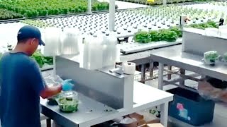 Technical Masterminds Videotechnical Video Kaise Banayetechnical Video Kaise Banaye Mobile Se