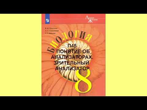 П45 ПОНЯТИЕ ОБ АНАЛИЗАТОРАХ, ЗРИТЕЛЬНЫЙ АНАЛИЗАТОР, БИОЛОГИЯ 8 КЛАСС, АУДИОУЧЕБНИК