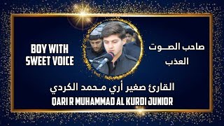 Beautiful Quran Recitation | R Muhammad Al Kurdi | Surah Shu'ara | القارئ صغير أري مــحمد الكردي