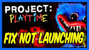 Project: Playtime Not Launching or Crashing? Here