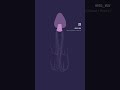 Jellyfish - pt9 - colour