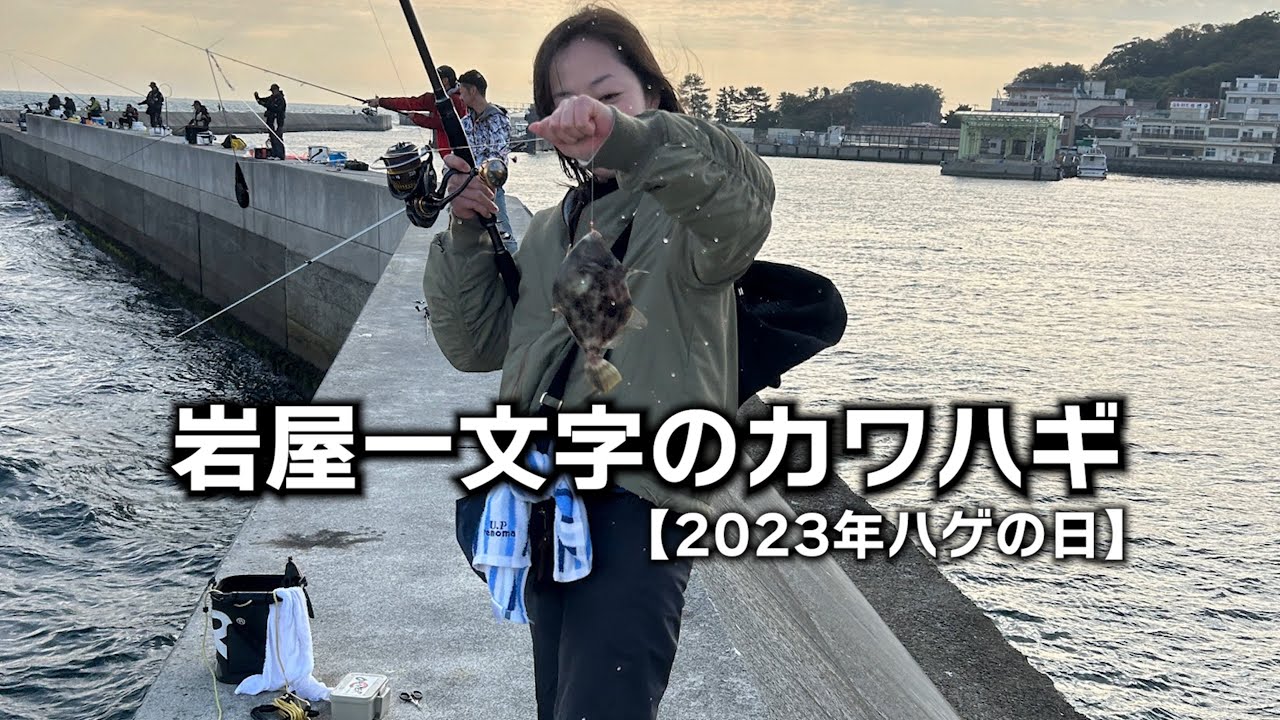 Iwaya Ichimonji Filefish [Bald Day 2023] - YouTube